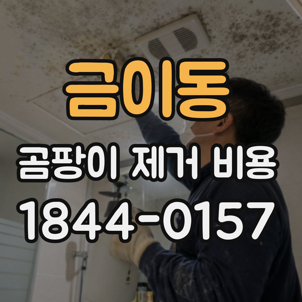 금이동 곰팡이 제거 비용