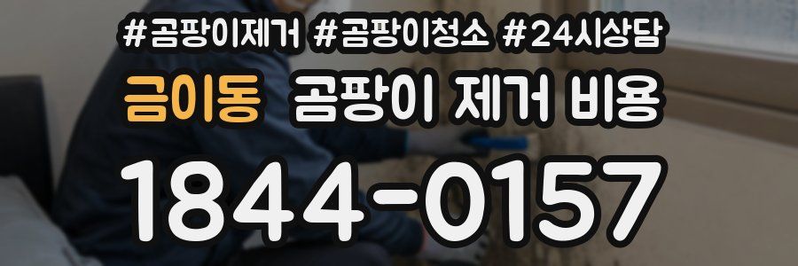 금이동 곰팡이 제거 비용