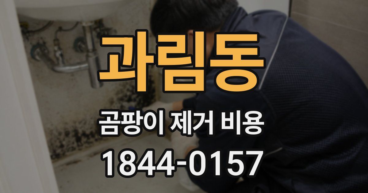과림동 곰팡이 제거 비용