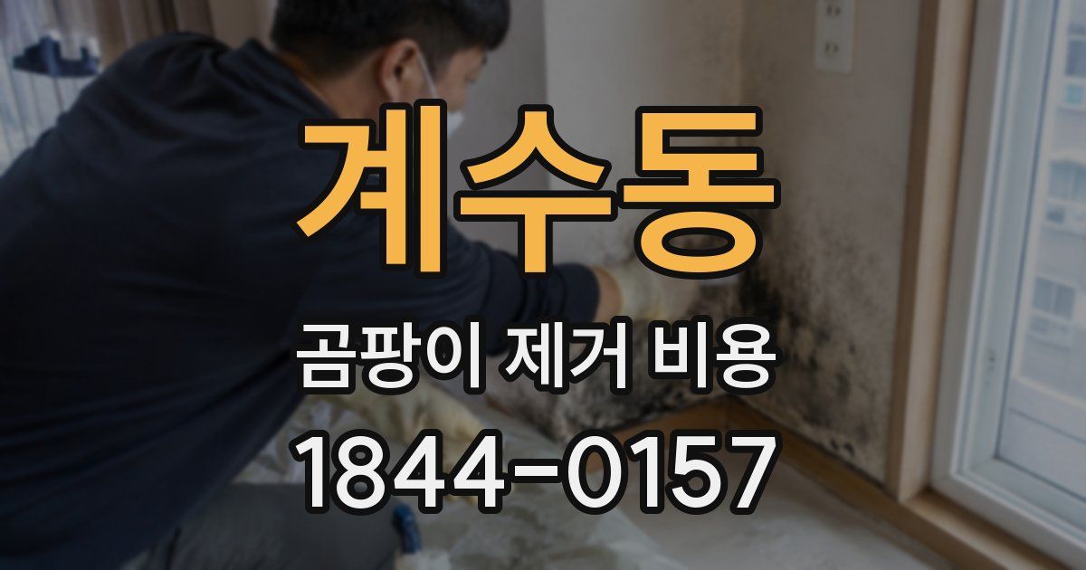 계수동 곰팡이 제거 비용