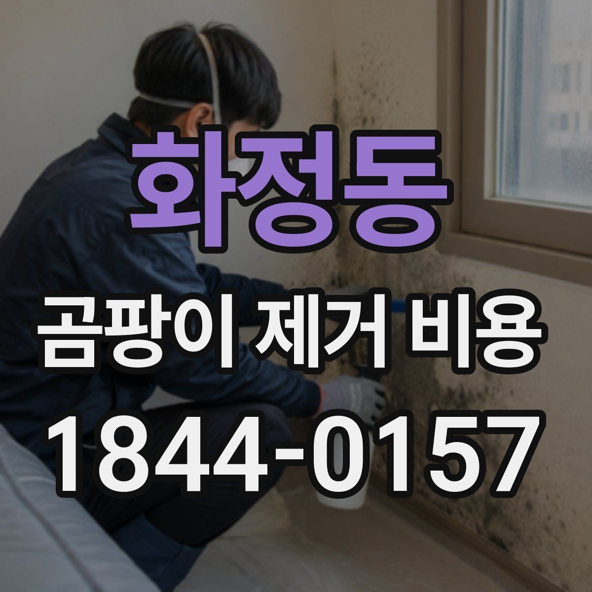 화정동 곰팡이 제거 비용 재발 가능성 점검을 넣은 상담 체크리스트