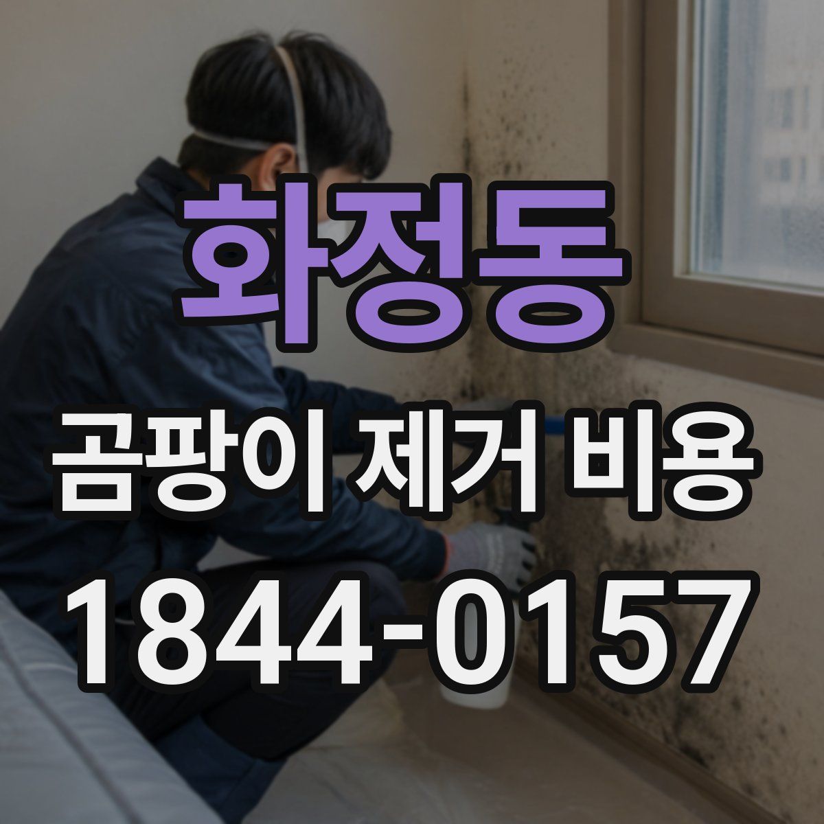 화정동 곰팡이 제거 비용