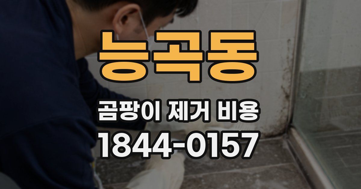 능곡동 곰팡이 제거 비용