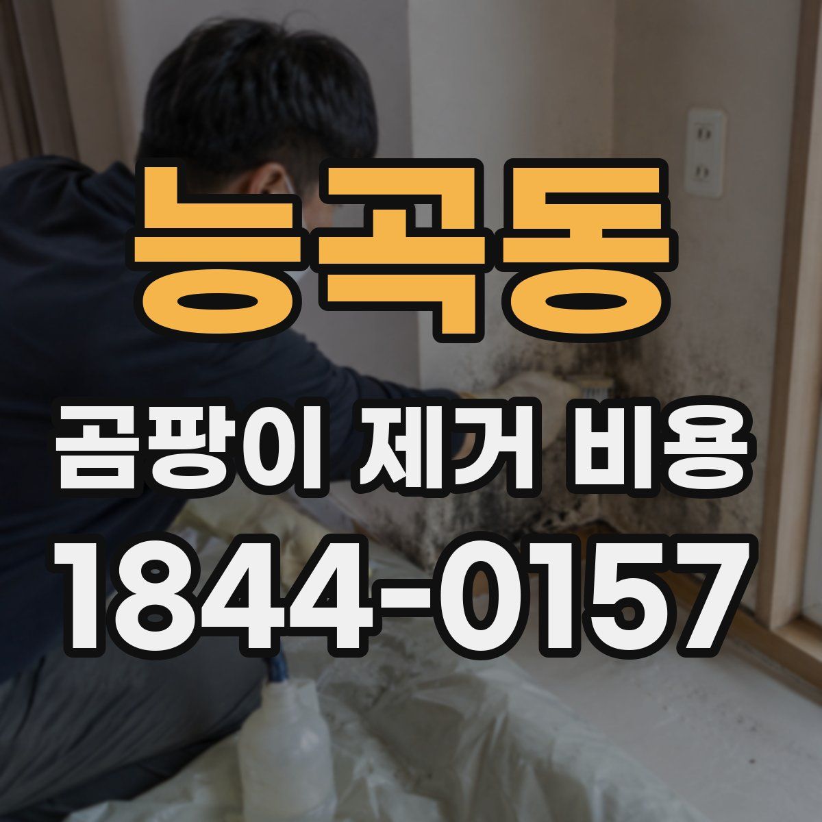 능곡동 곰팡이 제거 비용