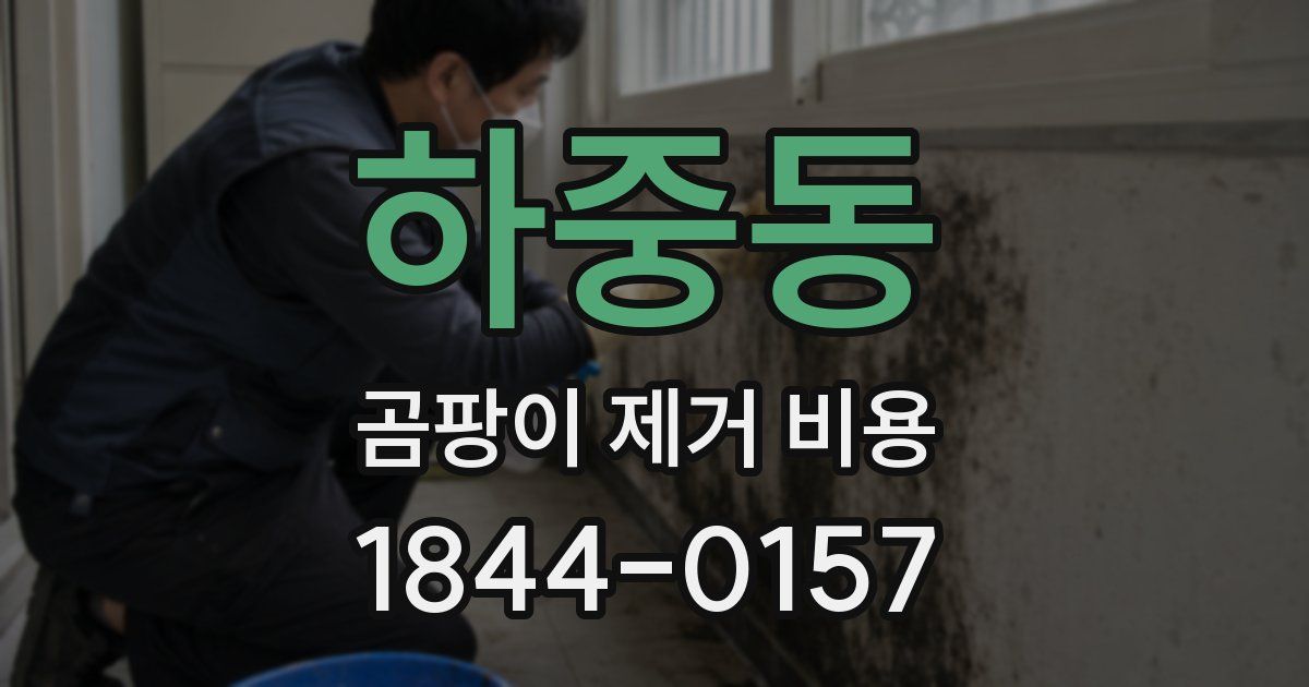 하중동 곰팡이 제거 비용
