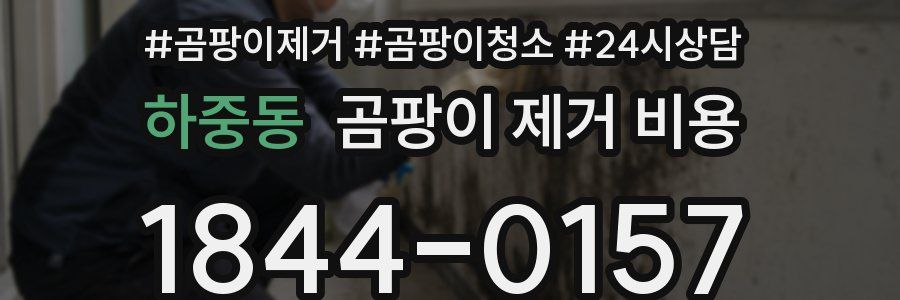 하중동 곰팡이 제거 비용