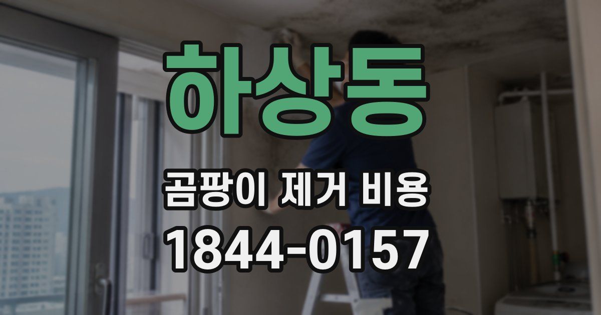 하상동 곰팡이 제거 비용