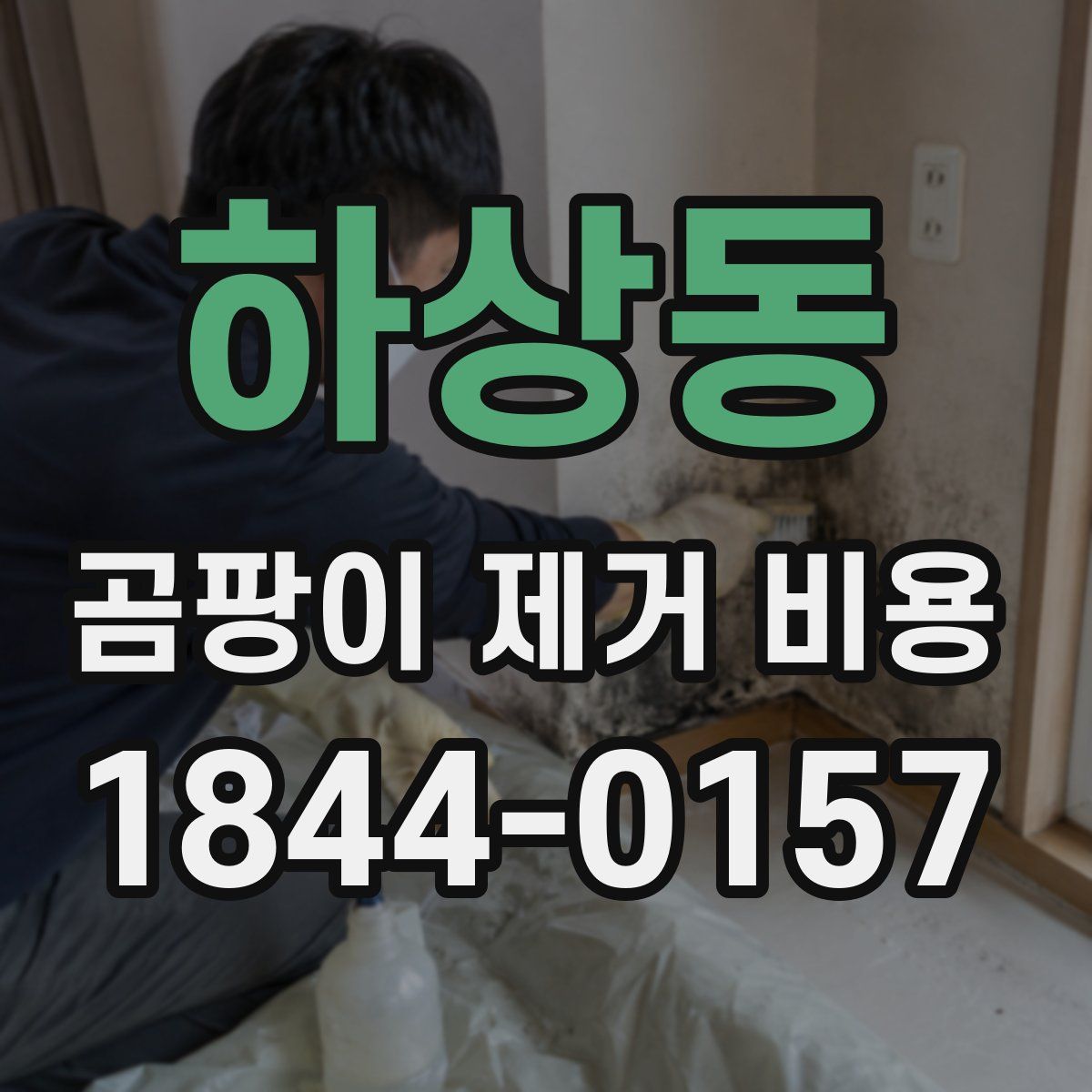 하상동 곰팡이 제거 비용