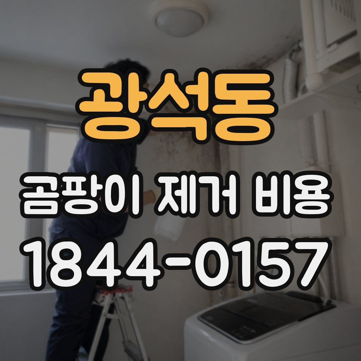 광석동 곰팡이 제거 비용