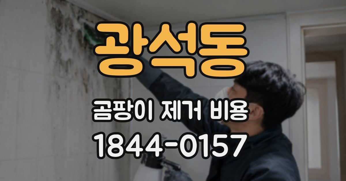 광석동 곰팡이 제거 비용