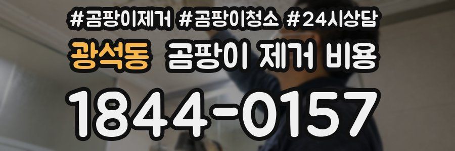 광석동 곰팡이 제거 비용