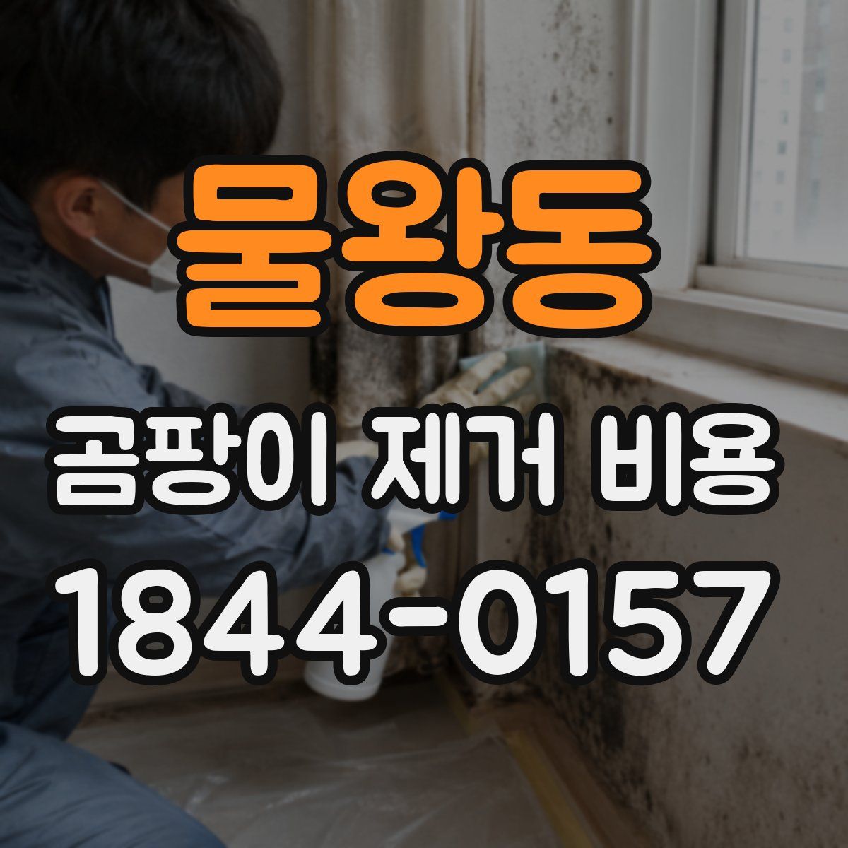 물왕동 곰팡이 제거 비용