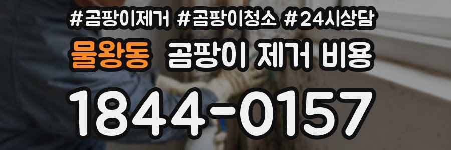 물왕동 곰팡이 제거 비용