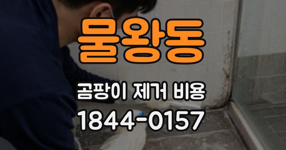 물왕동 곰팡이 제거 비용
