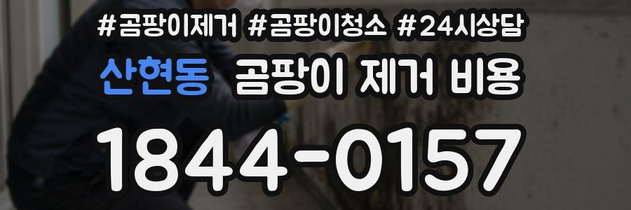 산현동 곰팡이 제거 비용