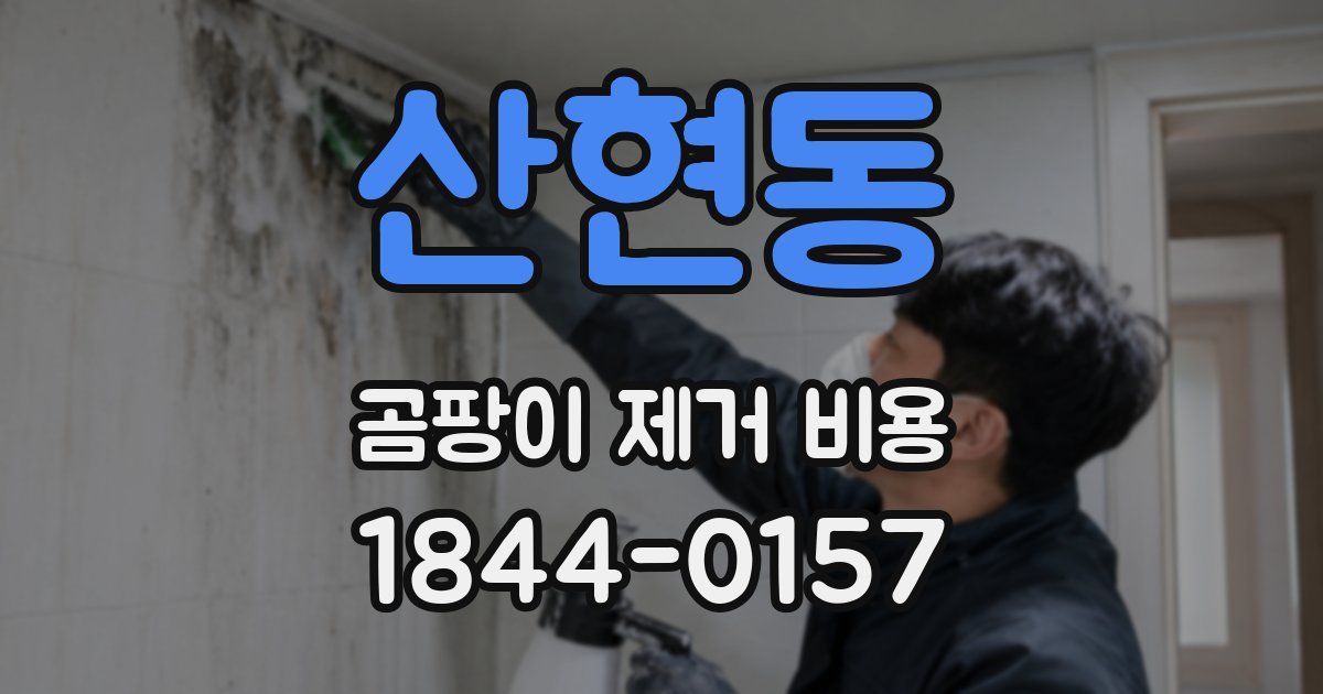 산현동 곰팡이 제거 비용