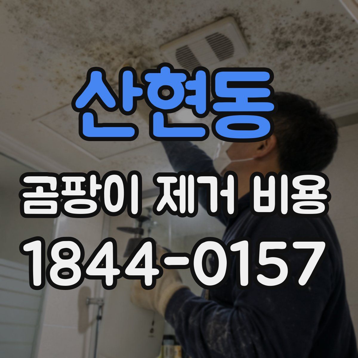 산현동 곰팡이 제거 비용