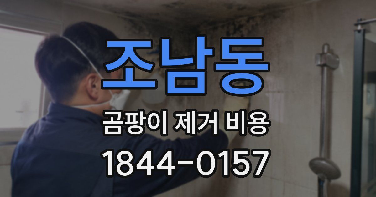 조남동 곰팡이 제거 비용