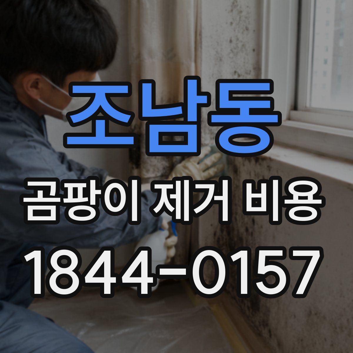 조남동 곰팡이 제거 비용