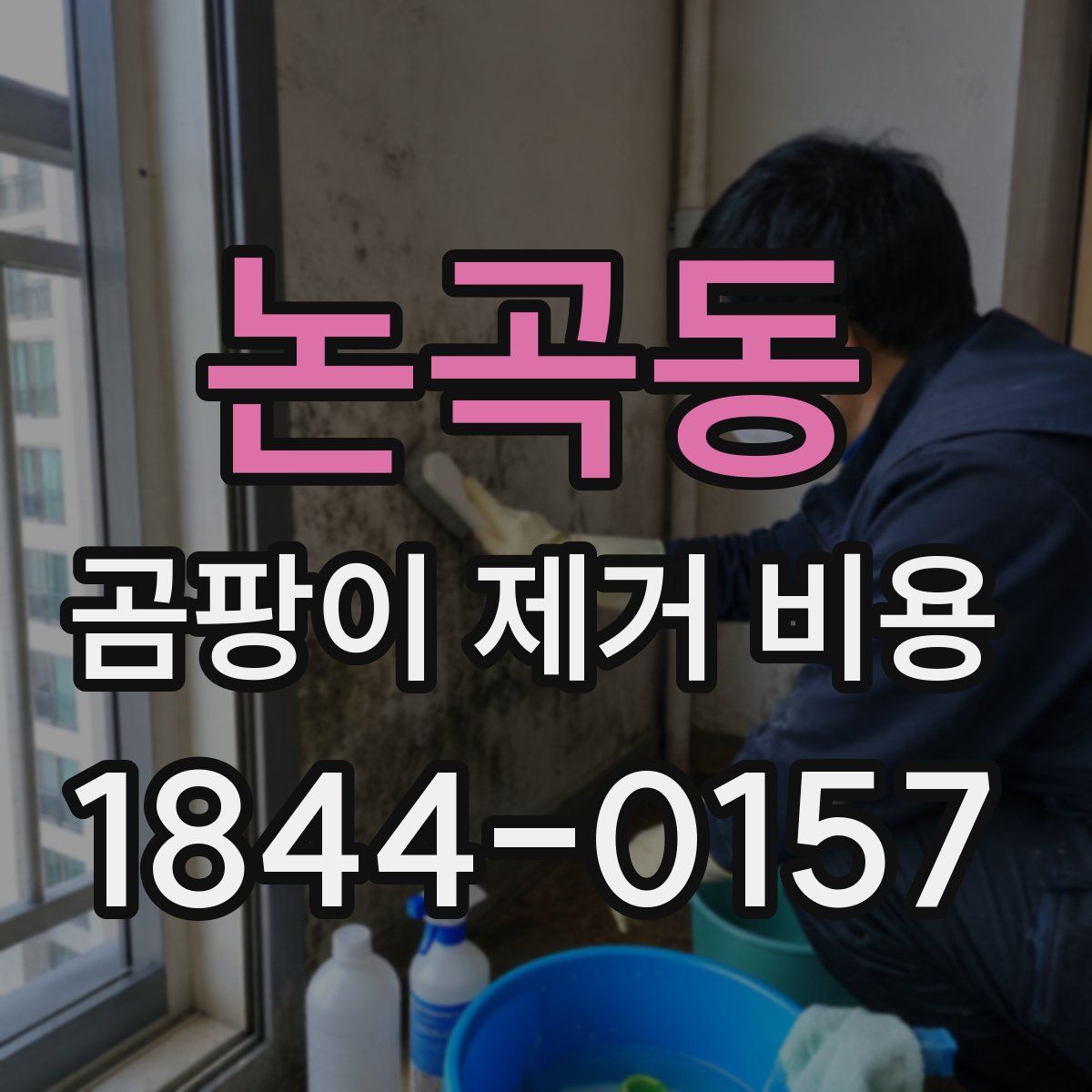 논곡동 곰팡이 제거 비용