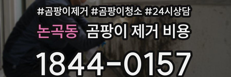 논곡동 곰팡이 제거 비용