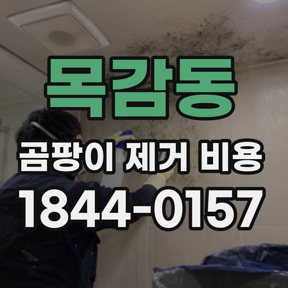 목감동 곰팡이 제거 비용