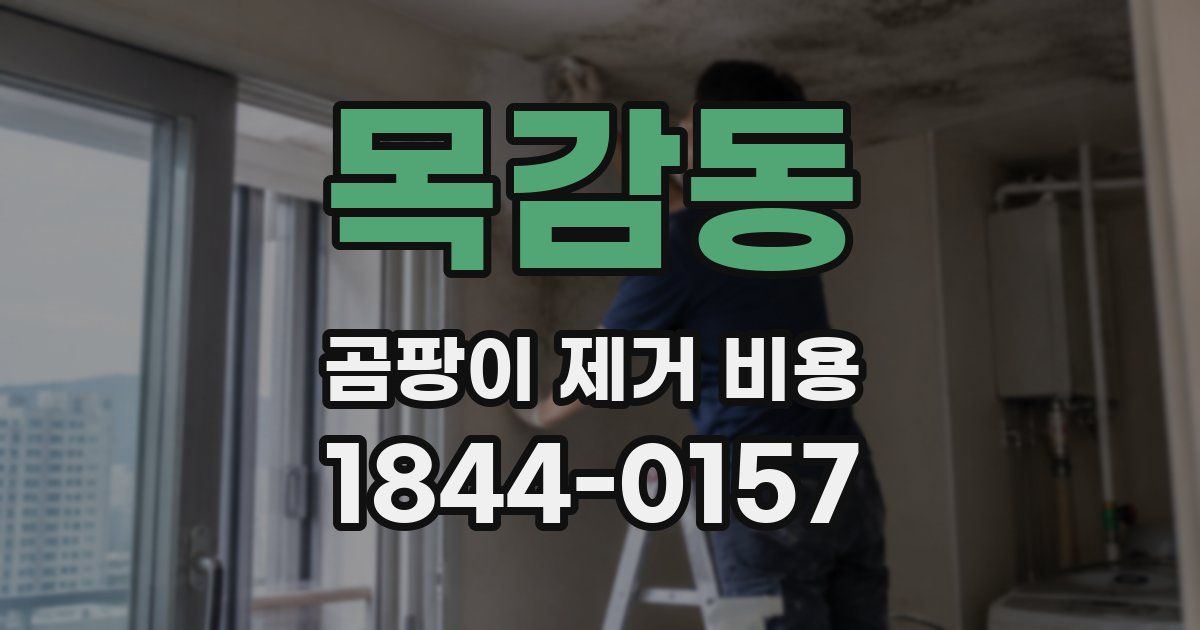 목감동 곰팡이 제거 비용