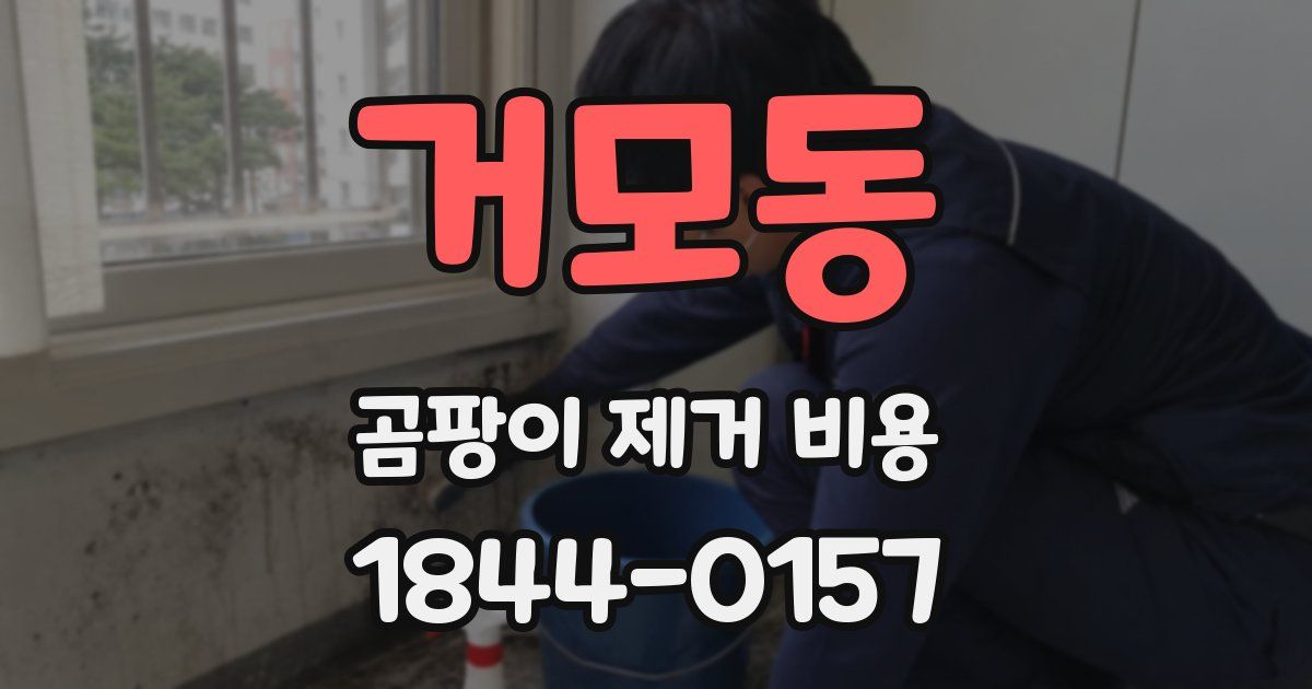 거모동 곰팡이 제거 비용