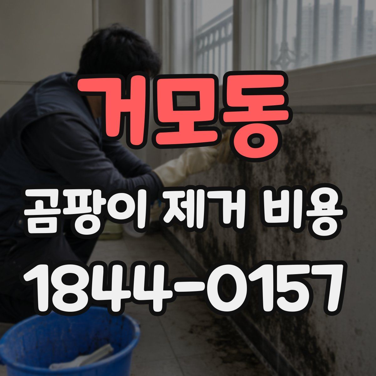 거모동 곰팡이 제거 비용