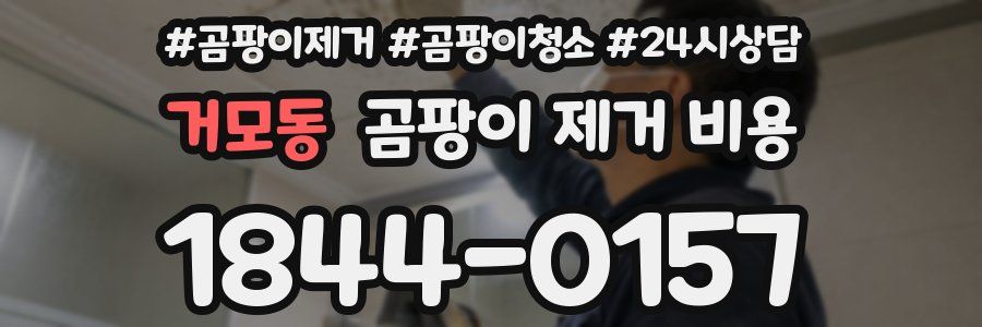 거모동 곰팡이 제거 비용
