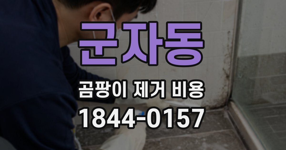 군자동 곰팡이 제거 비용