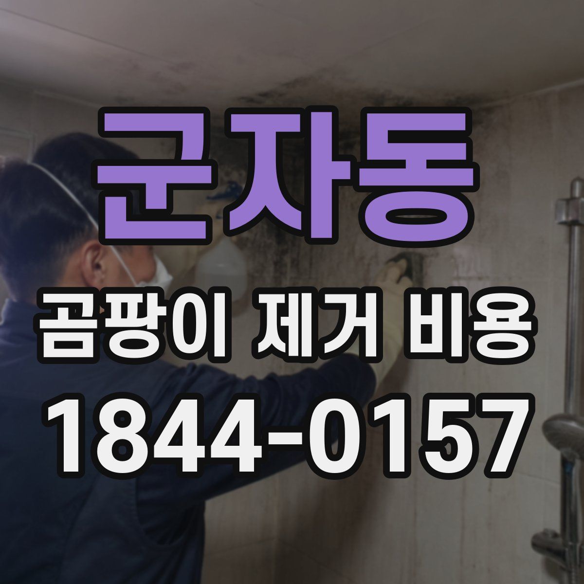 군자동 곰팡이 제거 비용