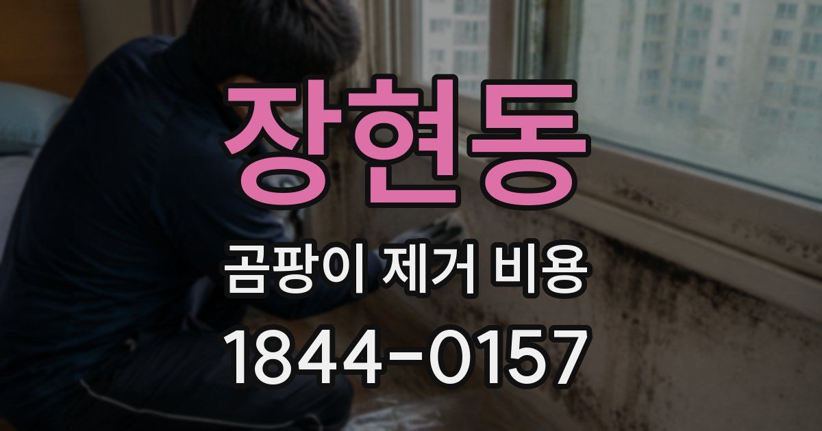 장현동 곰팡이 제거 비용
