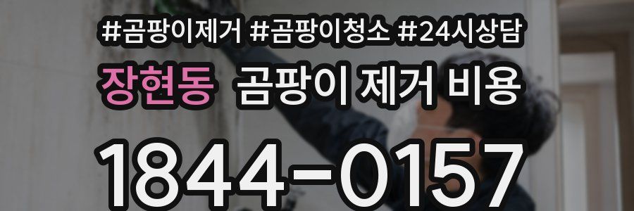 장현동 곰팡이 제거 비용