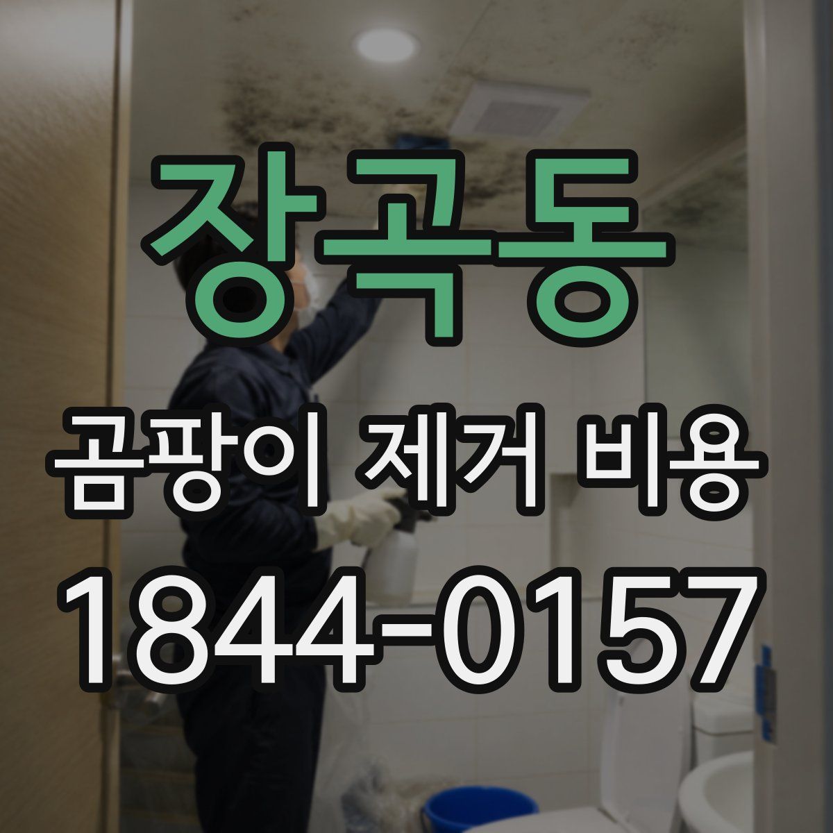 장곡동 곰팡이 제거 비용