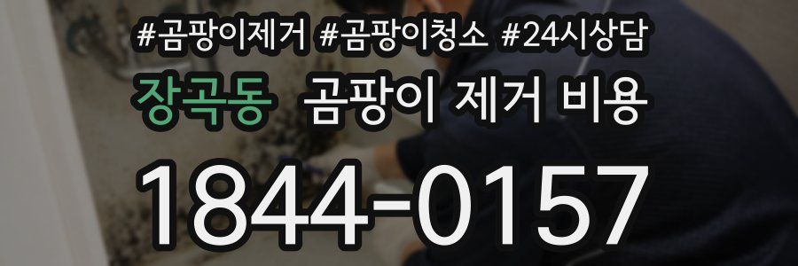장곡동 곰팡이 제거 비용