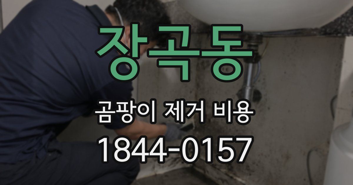 장곡동 곰팡이 제거 비용