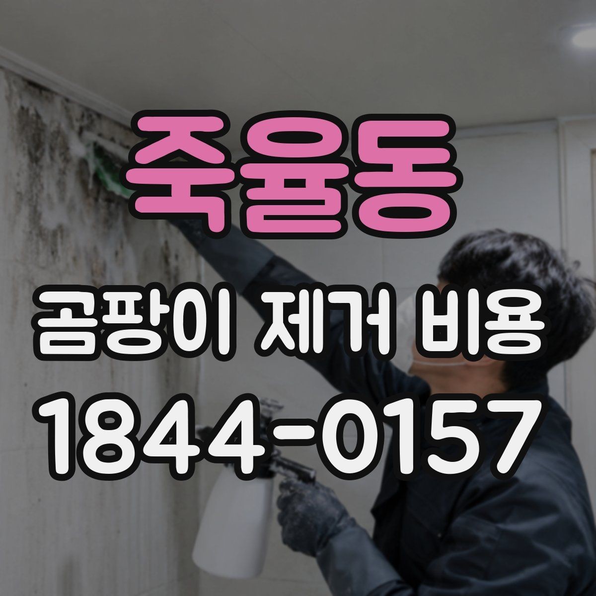 죽율동 곰팡이 제거 비용 다세대 주택에서 달라지는 시공 포인트
