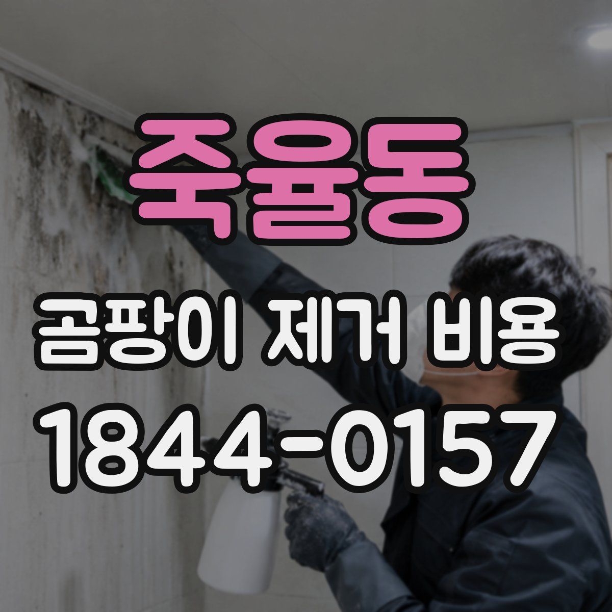 죽율동 곰팡이 제거 비용