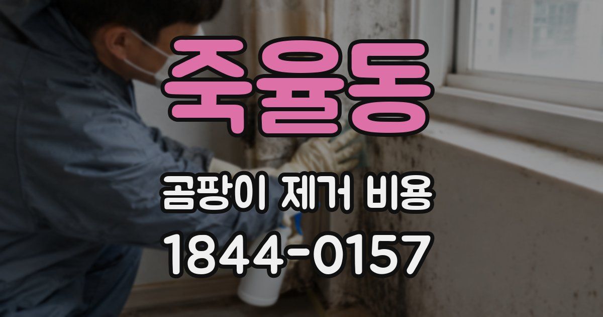 죽율동 곰팡이 제거 비용