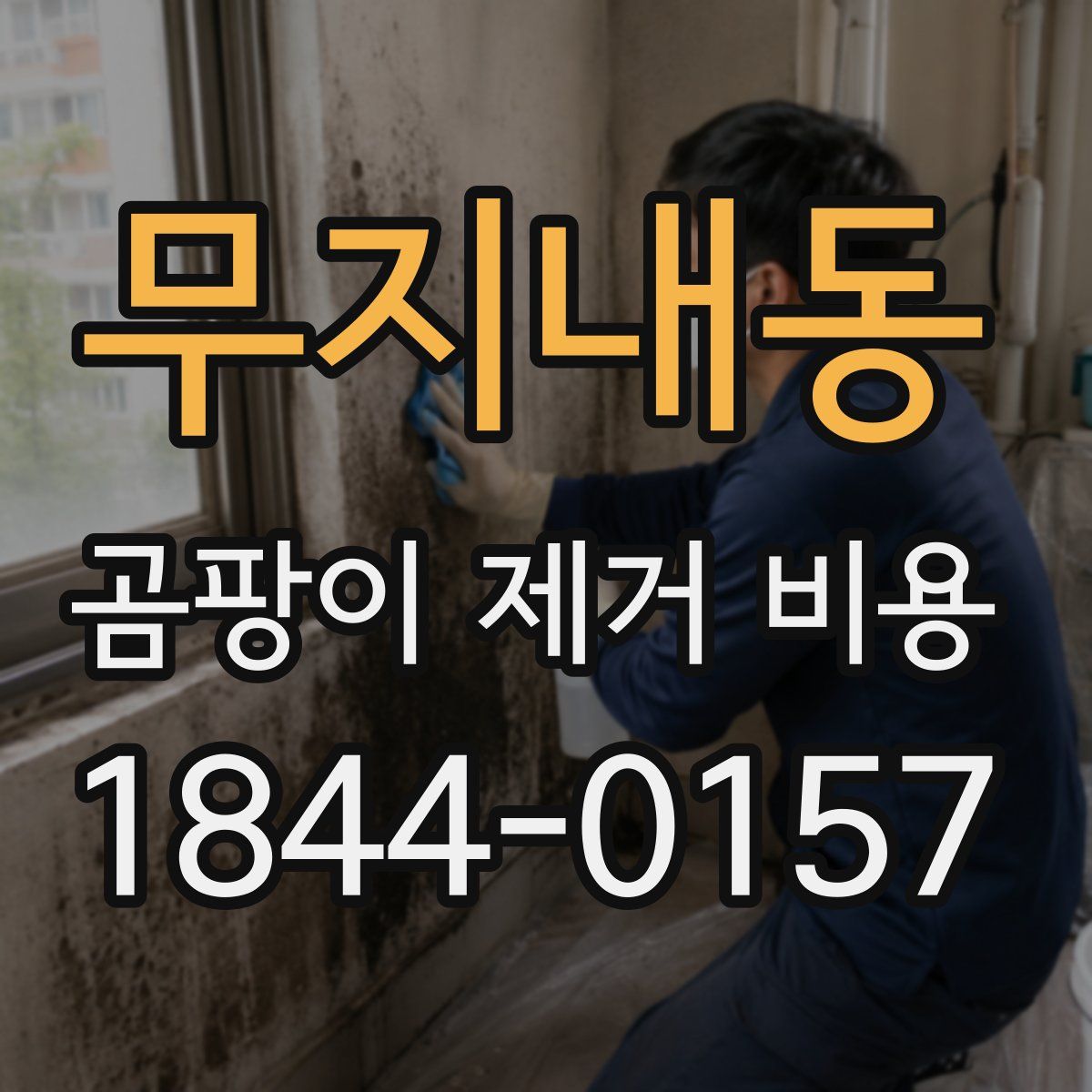 무지내동 곰팡이 제거 비용