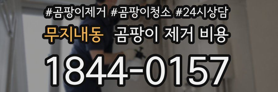 무지내동 곰팡이 제거 비용