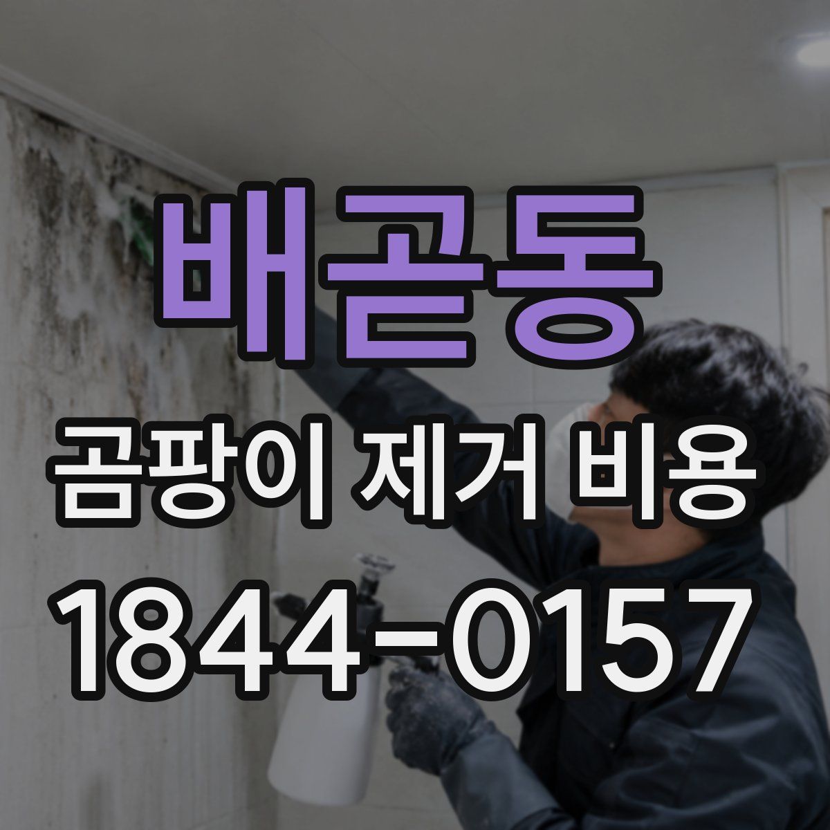 배곧동 곰팡이 제거 비용