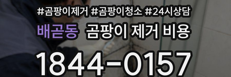 배곧동 곰팡이 제거 비용