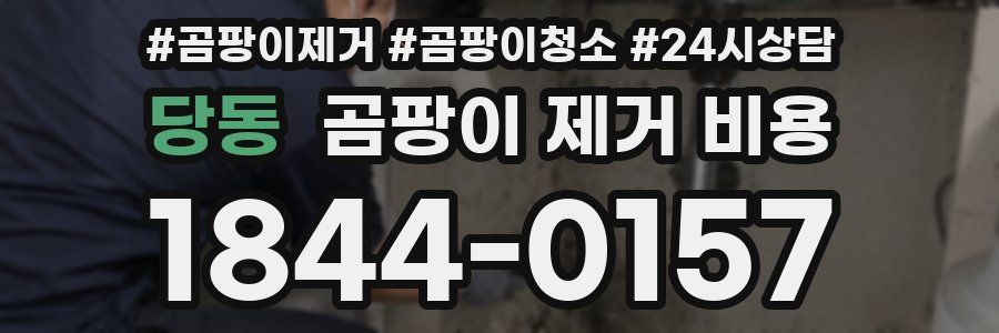 당동 곰팡이 제거 비용