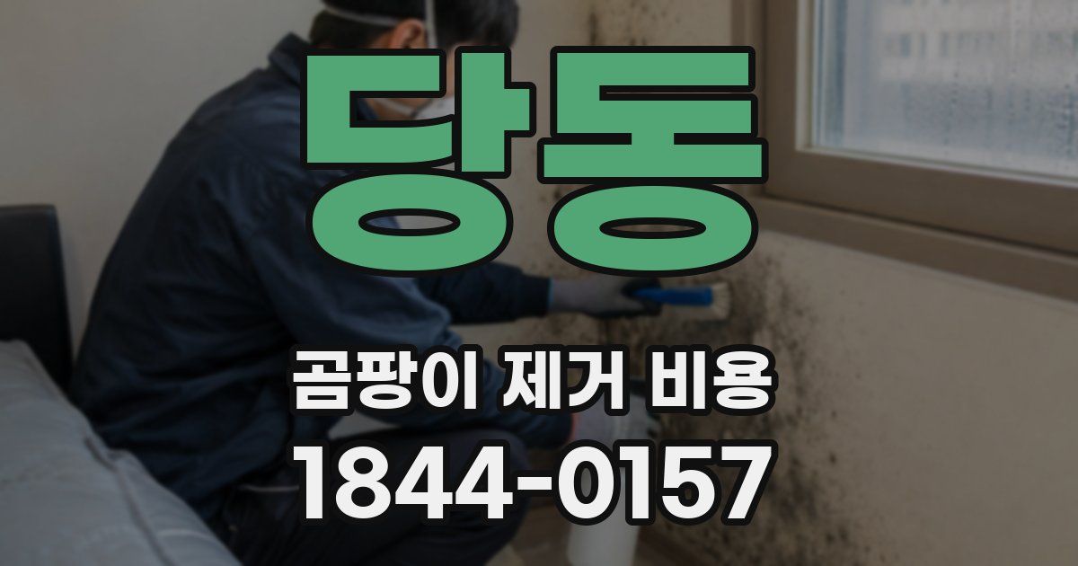 당동 곰팡이 제거 비용