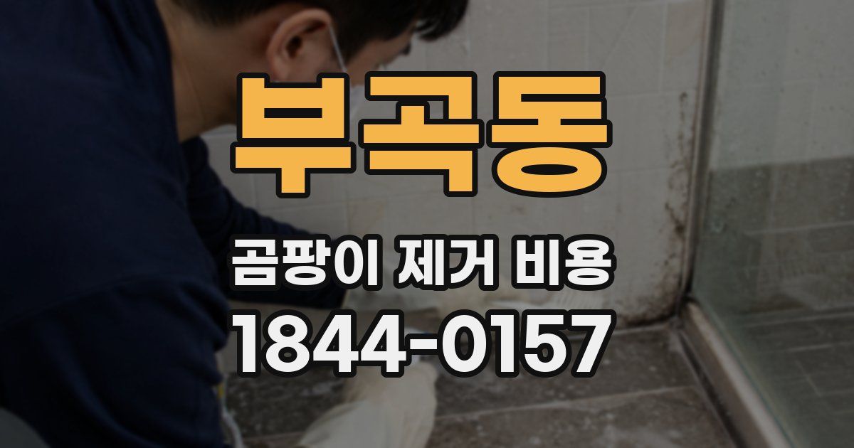 부곡동 곰팡이 제거 비용