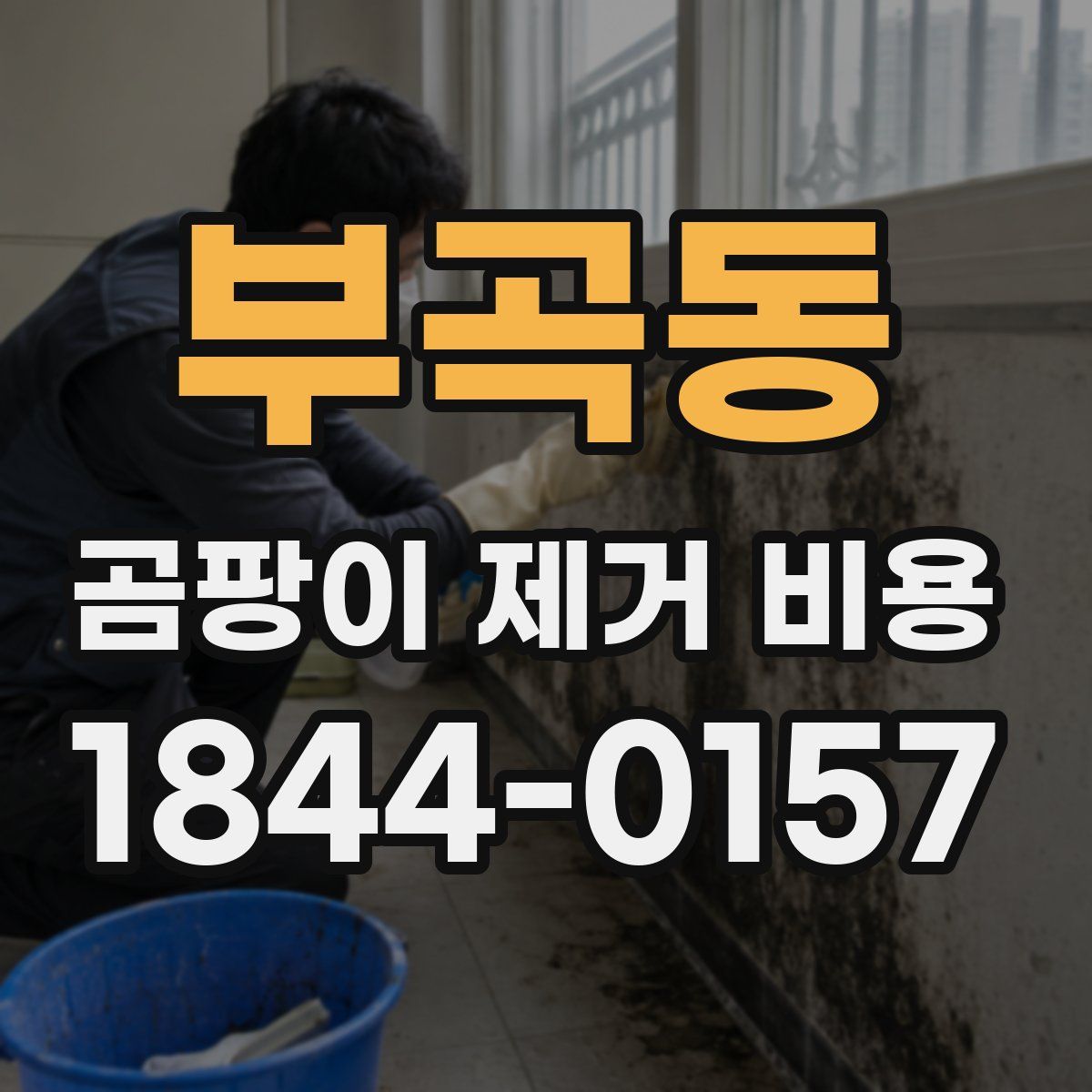 부곡동 곰팡이 제거 비용