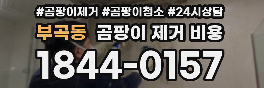부곡동 곰팡이 제거 비용