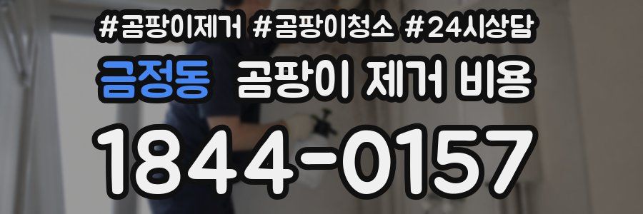 금정동 곰팡이 제거 비용